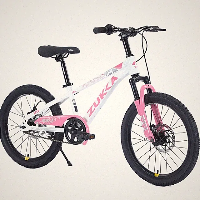 20 Inch Mountain Bike for Boys and Girls,Ages 7-10 Years,White&Pink