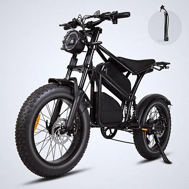 20in 1000W Motor 48V 18.2Ah Electric Bicycle for Adults 40Miles Mountain Ebike