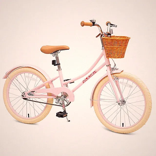 Kids Bicycle 20 Inch Purple Kickstand Coaster Brake Caliper ACEGER 3-13 Girls