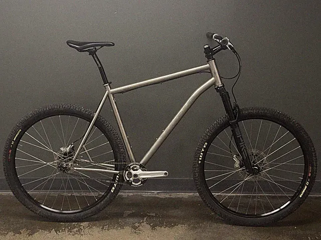 Kona Raijin TI 29er XXL Mountain Bike Single Speed Extra Large Titanium 22"