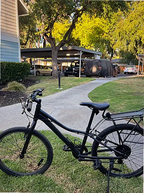 Trek Giant Liv 24" Bike - Black - Children and Teens